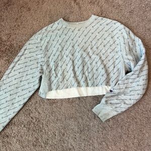 Champion cropped crew neck from urban outfitters